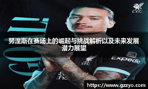 努涅斯在赛场上的崛起与挑战解析以及未来发展潜力展望